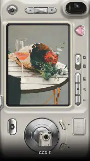 OldRoll - Vintage Film Kamera screenshot 4