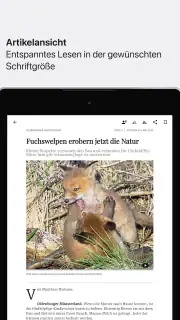 OM-E-Paper screenshot 7