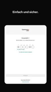 Openbank Pay screenshot 6