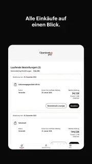 Openbank Pay screenshot 7