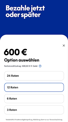 PayPal screenshot