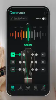 Perfekter Tuner screenshot 2