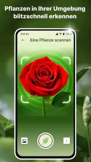 Pflanzen Erkennen auf Deutsch screenshot 2