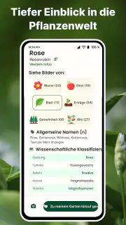 Pflanzen Erkennen auf Deutsch screenshot 4