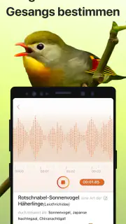 Picture Bird - Vögel bestimmen screenshot 3