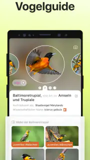 Picture Bird - Vögel bestimmen screenshot 4