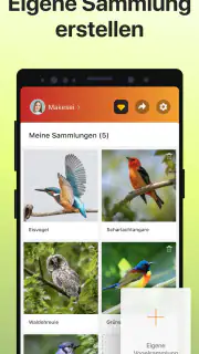 Picture Bird - Vögel bestimmen screenshot 6