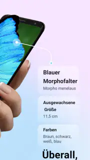 Picture Insect - Insekten ID screenshot 2