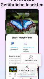 Picture Insect - Insekten ID screenshot 3
