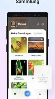 Picture Insect - Insekten ID screenshot 6