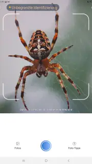 Picture Insect - Insekten ID screenshot 7