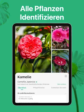 PictureThis Pflanzen bestimmen screenshot