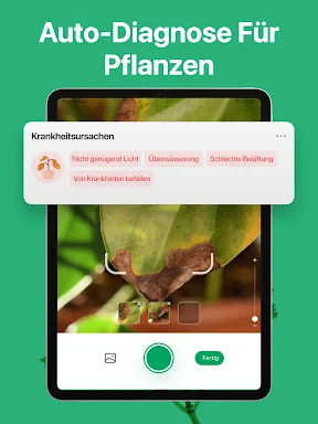 PictureThis Pflanzen bestimmen screenshot