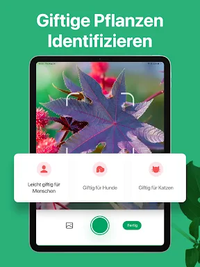 PictureThis Pflanzen bestimmen screenshot