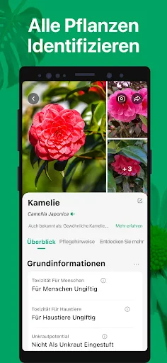 PictureThis Pflanzen bestimmen screenshot