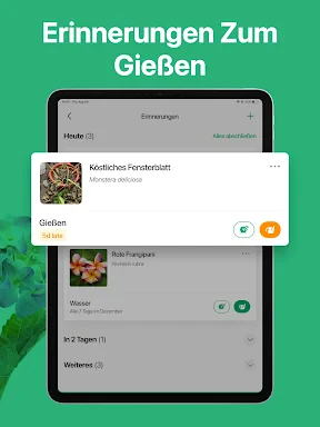 PictureThis Pflanzen bestimmen screenshot