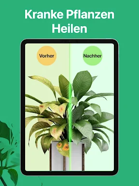 PictureThis Pflanzen bestimmen screenshot