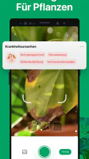 PictureThis Pflanzen bestimmen screenshot 4