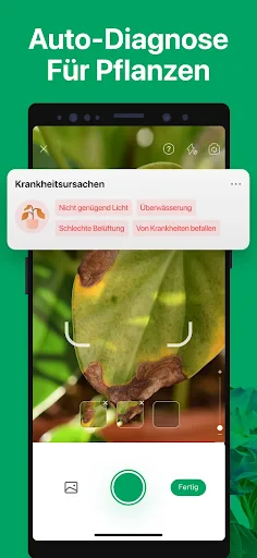 PictureThis Pflanzen bestimmen screenshot