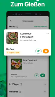 PictureThis Pflanzen bestimmen screenshot 5