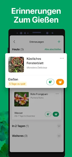 PictureThis Pflanzen bestimmen screenshot