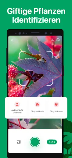 PictureThis Pflanzen bestimmen screenshot