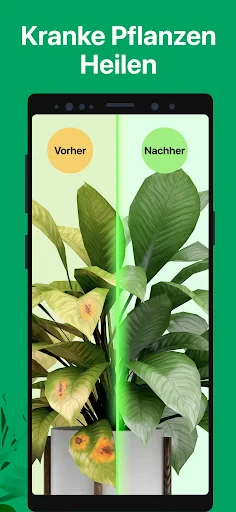 PictureThis Pflanzen bestimmen screenshot