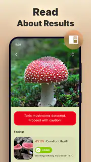 Pilze per Foto bestimmen screenshot 3