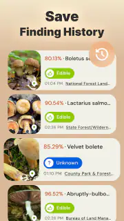 Pilze per Foto bestimmen screenshot 4