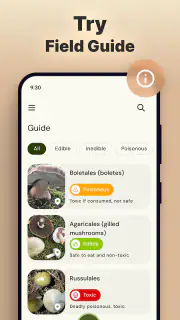 Pilze per Foto bestimmen screenshot 5