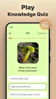 Pilze per Foto bestimmen screenshot 6