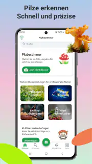 Pilzidentifikator screenshot 1