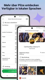 Pilzidentifikator screenshot 2