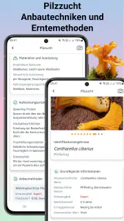 Pilzidentifikator screenshot 4