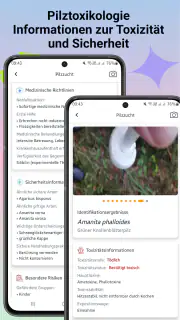 Pilzidentifikator screenshot 5
