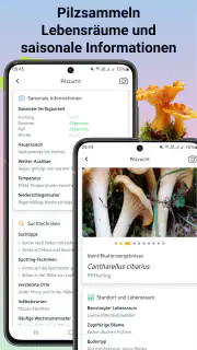 Pilzidentifikator screenshot 6