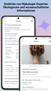 Pilzidentifikator screenshot 7