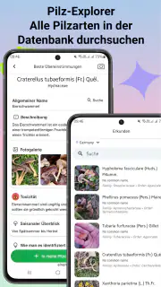 Pilzidentifikator screenshot 8
