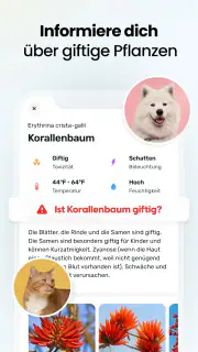 Plant App - Pflanzenfinder screenshot 5
