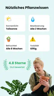 PlantCam: KI-Pflanzenerkennung screenshot 3