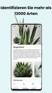 PlantCam: KI-Pflanzenerkennung screenshot 4