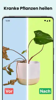 PlantCam: KI-Pflanzenerkennung screenshot 6