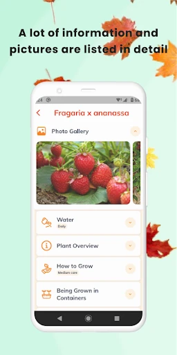 PlantID - Pflanzenident. screenshot