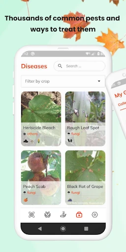 PlantID - Pflanzenident. screenshot