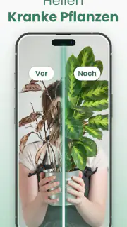 Plantify : Pflanzen Erkennen screenshot 5