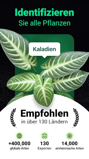 Plantum - Pflanzen bestimmen screenshot