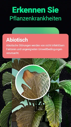 Plantum - Pflanzen bestimmen screenshot