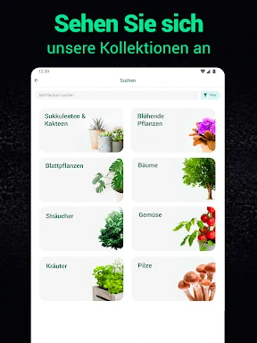 Plantum - Pflanzen bestimmen screenshot