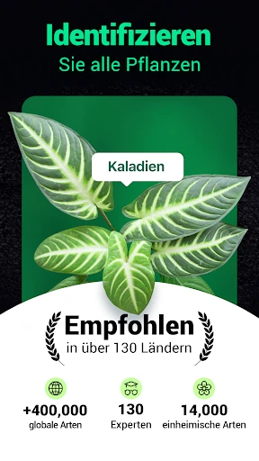 Plantum - Pflanzen bestimmen screenshot