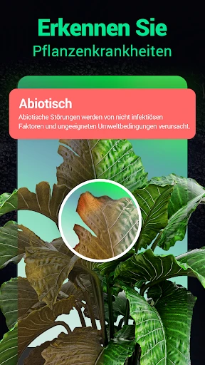 Plantum - Pflanzen bestimmen screenshot